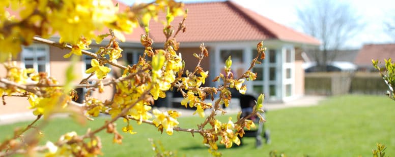 Mere hus for pengene